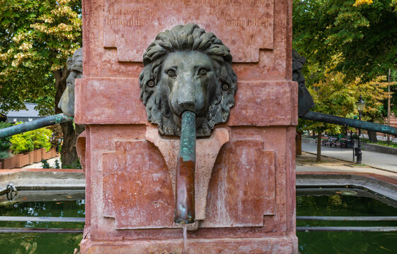 Fountain "Four Lions" made of red marble in baroque style in Sremski Karlovci, close up