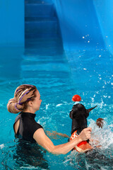 Dog in life jacket swim in the swimming pool with coach. Pet rehabilitation. Recovery training...