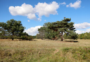 The Waldheide in Heilbronn, Baden-W&uuml;rttemberg, Germany, Europe.