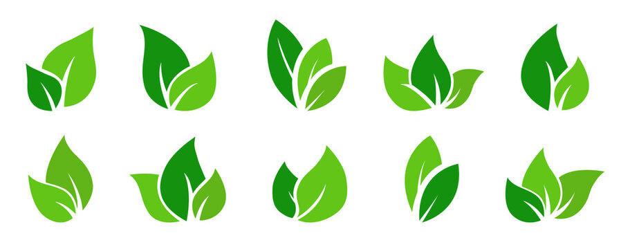 Green leaves vector set - Collection of flat leaf design on white background. Environmental friendly end ecology concept.