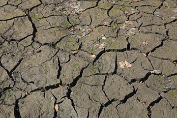 sequía tierra seca pantano seco con poca agua país vasco IMG_8382-as22