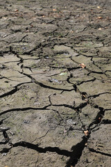 sequía tierra seca pantano seco con poca agua país vasco IMG_8383-as22