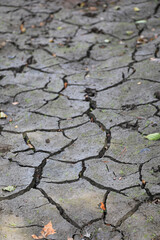 Obraz premium sequía tierra seca pantano seco con poca agua país vasco IMG_8385-as22