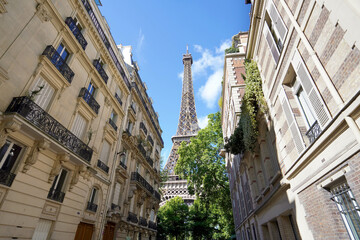 The Eiffel Tower view between palaces in Rue de l'Université street, 7th arrondissement, Paris, France - obrazy, fototapety, plakaty