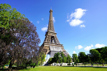 The Eiffel Tower view from the Champ de Mars, Paris, France - obrazy, fototapety, plakaty