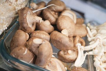raw champignon mushroom in a bowl on table 
