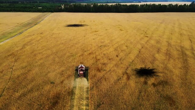 Aerial view of wheat harvest field with shell explosion crater. Drone shot flying over combine harvester working on wheat field. Food crisis. War in Ukraine. World food shortage