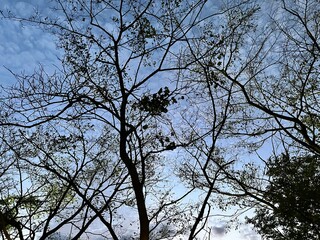 秋の空