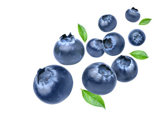 Blueberries with leaves  levitate isolated on a white background.