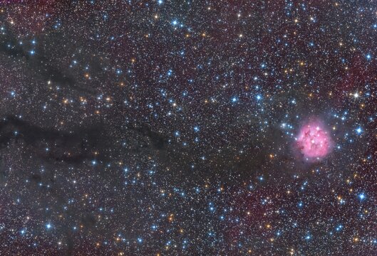 The Cocoon Nebula