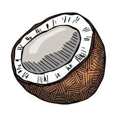Vector coconut clipart. Hand drawn nut icon. Tropical illustration. For print, web, design, decor, logo.