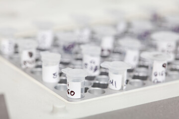 Closeup of test tubes at a thermal cycler block in a molecular biology laboratory. Polymerase chain...