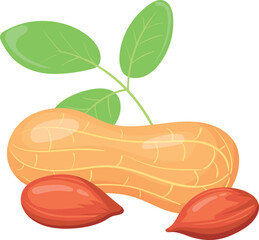 Raw peanut icon. Cartoon natural shell nut