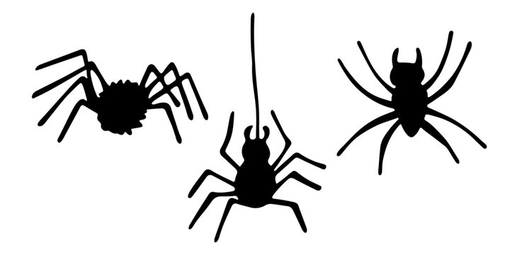 spider clip art for kids