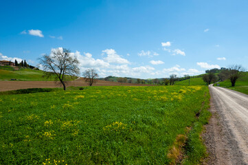 Agritourism in the hills of Tuscany
