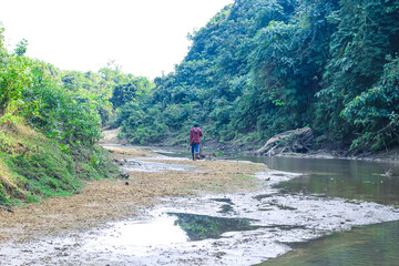 Man walking by the creek in the forest with their shoes in hand. Hikers hiking in the forest. Hiker walking in the forest beside the mountain river.