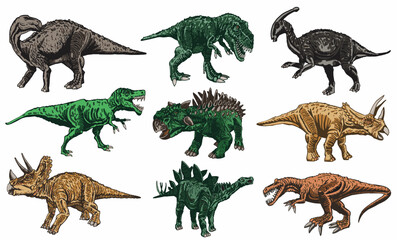 Vector set of color dinosaurs isolated on white background, dino collection