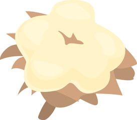 Texture cotton icon cartoon vector. Organic flower. Plant fabric