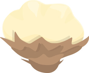 Bloom cotton icon cartoon vector. Organic plant. Fabric textile