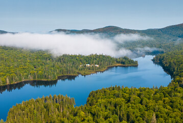Obraz premium Boreal forest in summer. Aerial view of Mont Tremblant National Park, Quebec, Canada