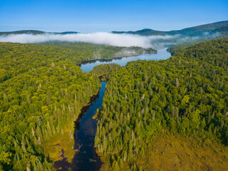 Boreal forest in summer. Aerial view of Mont Tremblant National Park, Quebec, Canada