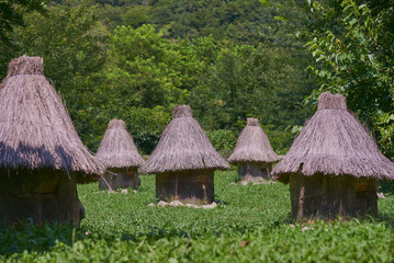 Fototapeta na wymiar Bee hives with thatched roofs stand in rows among the trees in the apiary.
