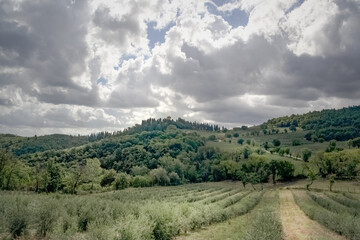 Fototapeta na wymiar Tuscan country side under a cloudy sky