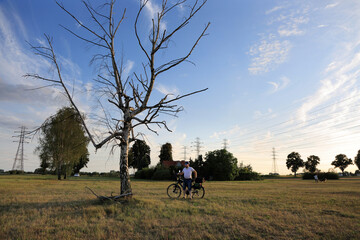 Mężczyzna z rowerem turystycznym przed uschniętym drzewem brzozy.	
