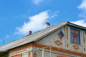 a stork stands on the roof of a rural house in Ukraine