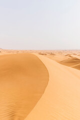 Sand dunes in the United Arab Emirates - obrazy, fototapety, plakaty