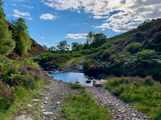River crossing on the trail, lush vegetation, Highlands, Scotland