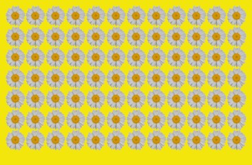 Pretty floral pattern for print.