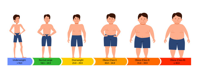 Categories with body mass index. male silhouettes with a thick, normal and slender figure. Flat vector infographics with people with different metabolism and weight.