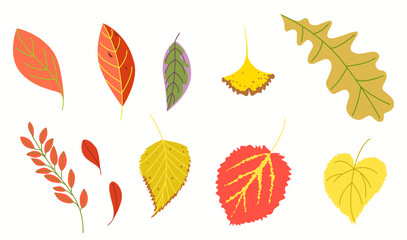 A large set of foliage. A group of autumn vector illustrations in a flat style.