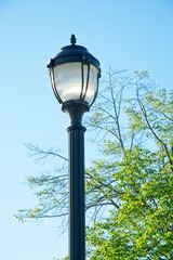 Fototapeta na wymiar street light with specular reflections before tree limbs clear blue sky