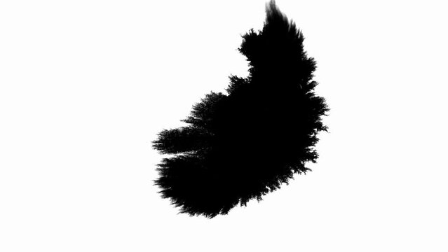 Ink Blot Blemish Leaking and Spreading over Paper in Black and White