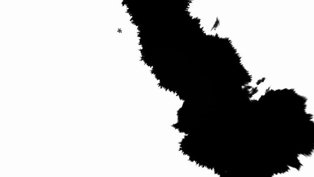 Ink Blot Blemish Leaking and Spreading over Paper in Black and White