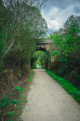The arch of the road