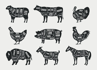 Butcher diagram, scheme set. Mutton, Lamb, Pork, Buffalo, Chicken, Turkey, Horse, Goat meat cuts. Cuts of meat set for butchery, meat shop, restaurant, grocery store. Vector illustration © Denys Holovatiuk