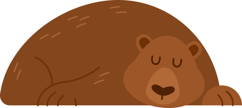 Hand drawn sleeping bear. Vector illustration