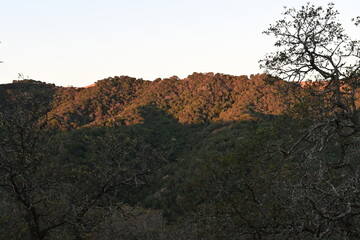 sunrise in the mountains