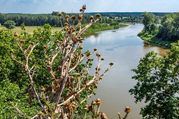 DROHICZYN ROZLEWISKO bUGU © witan
