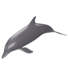 3d rendering illustration of a dolphin