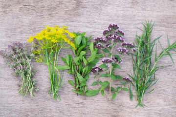Bunches of herbs on wooden background