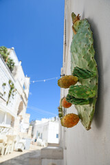 ostuni the white city in italy puglia