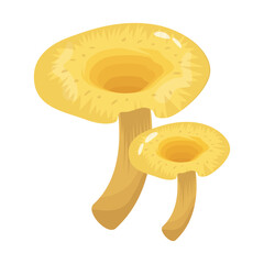 A flat illustrative vector of mushroom 