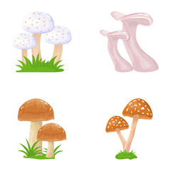 A flat illustrative vector of mushroom 