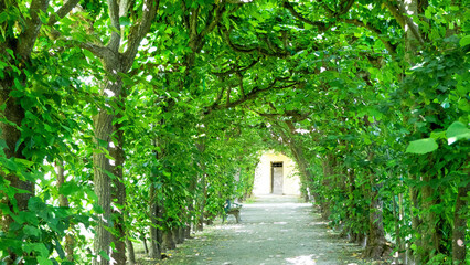 Path in the park in the palace