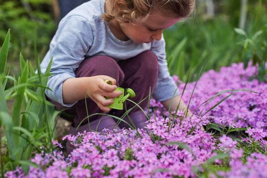Little child gardener