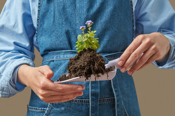 Hands holding trowel with flower